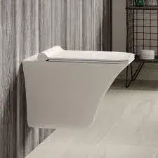 Wall_Hung_Toilet3[1]-6907932-72972.webp